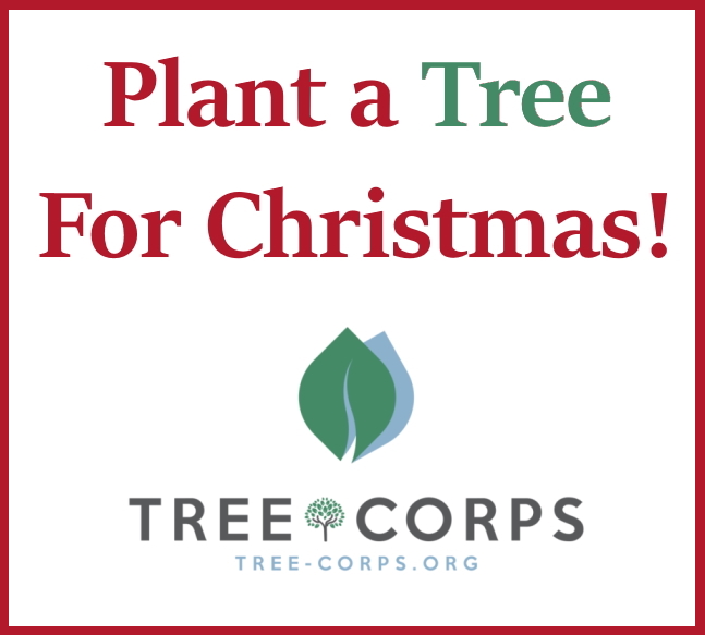 Plant a Tree for Christmas