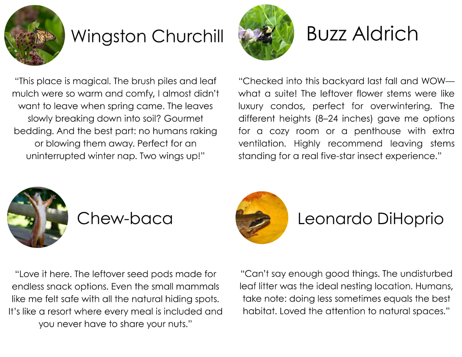 silly reviews from local wildlife