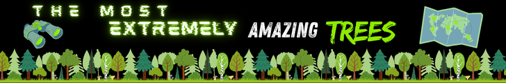 The%20most%20EXTREMELY%20Amazing%20Trees%20banner%20(728%20x%20120%20px).png