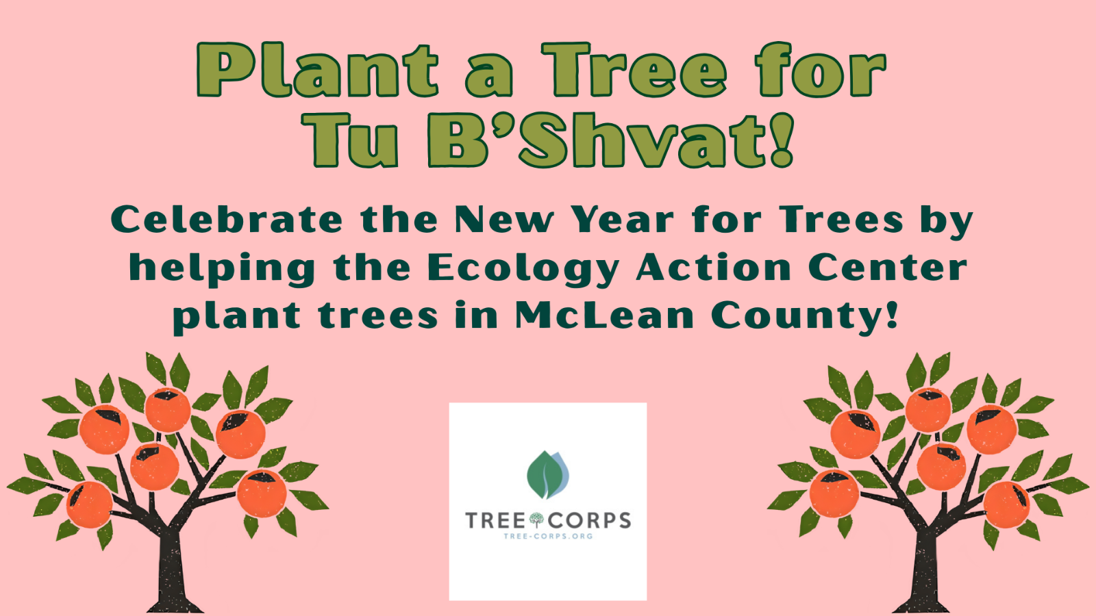 Plant a Tree for Tu B'Shvat