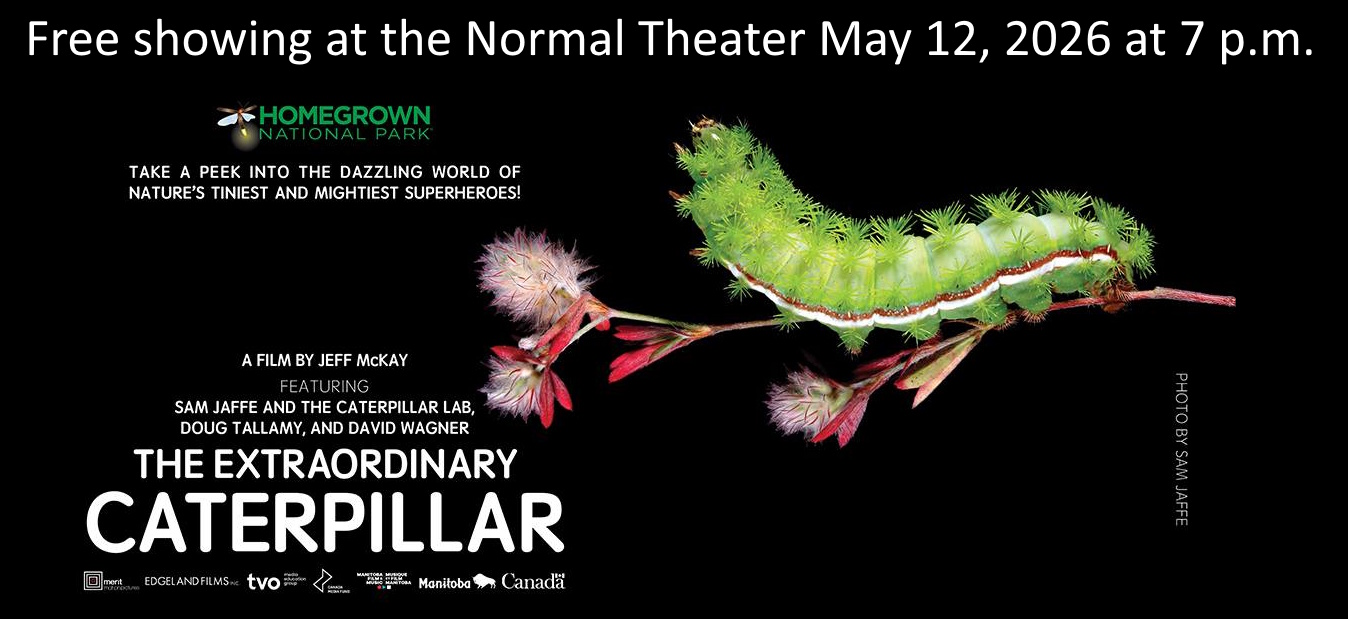 caterpillar.jpg